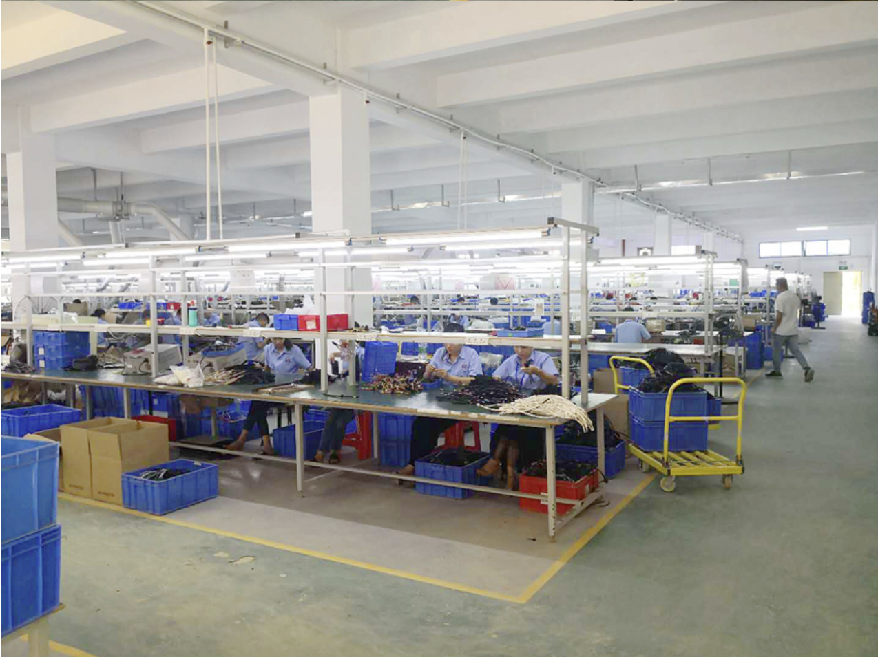 Assembly and Potting Production Line